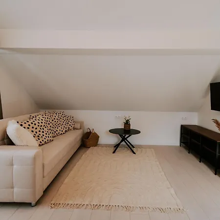 ベッド・アンド・ブレックファスト Maison De Luxe