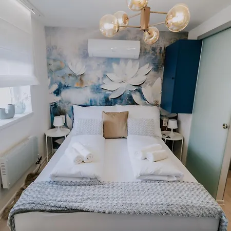 ベッド・アンド・ブレックファスト Maison De Luxe *