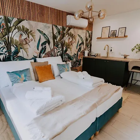 Maison De Luxe Bed and breakfast Szeged